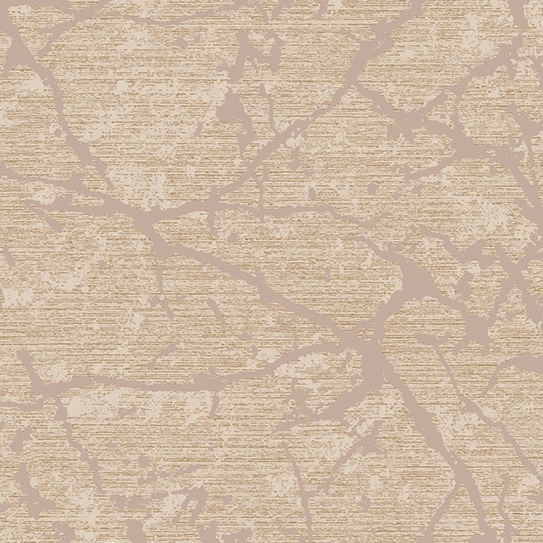 117467762668598c72016cc8.33718592.jpg
