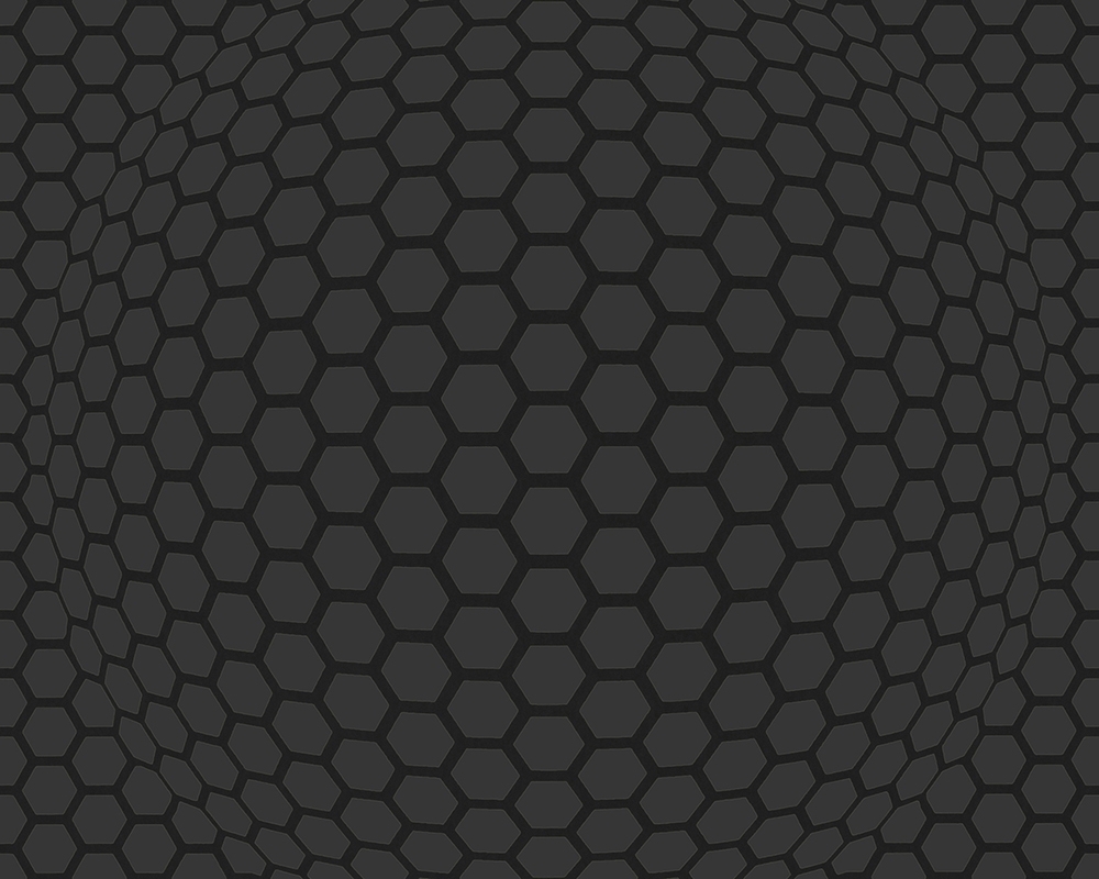 118996698468598a47b18422.29388576.jpg