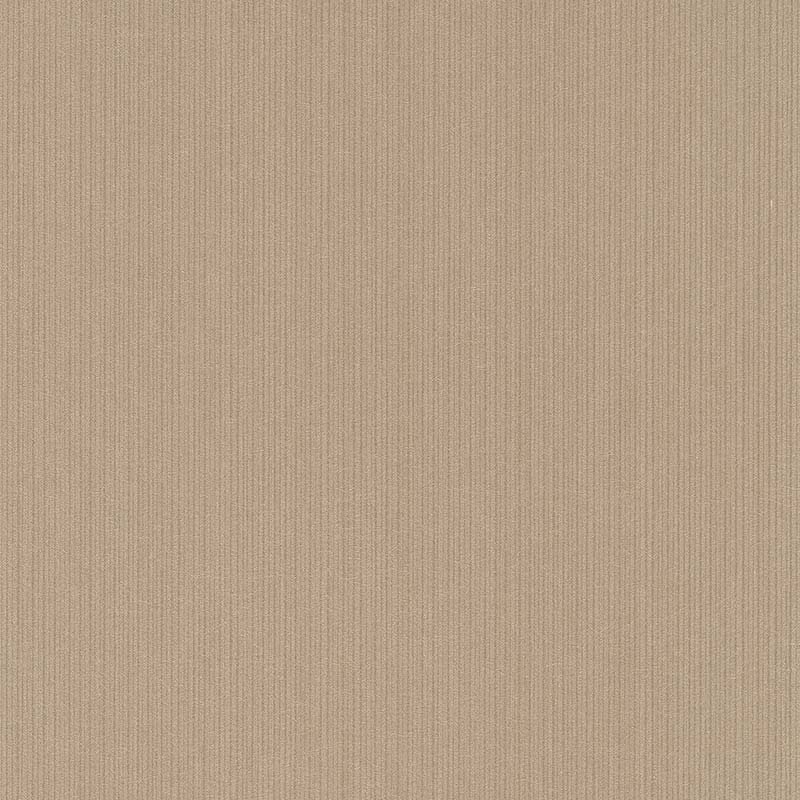 121121749868598df7604e63.43322566.jpg