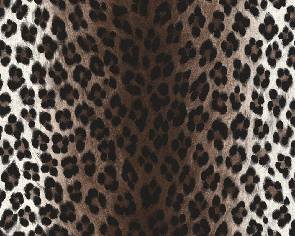 13398934076859896723b5c2.97982795.jpg