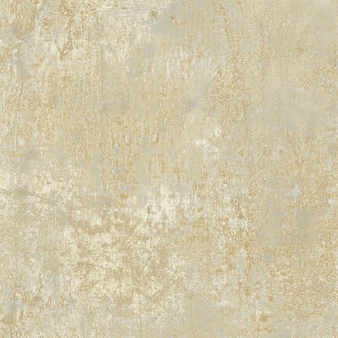 1555041212684b3084c051a1.50020573.jpg