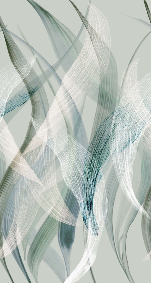 158069970687e569dacb2e1.42204235.jpg