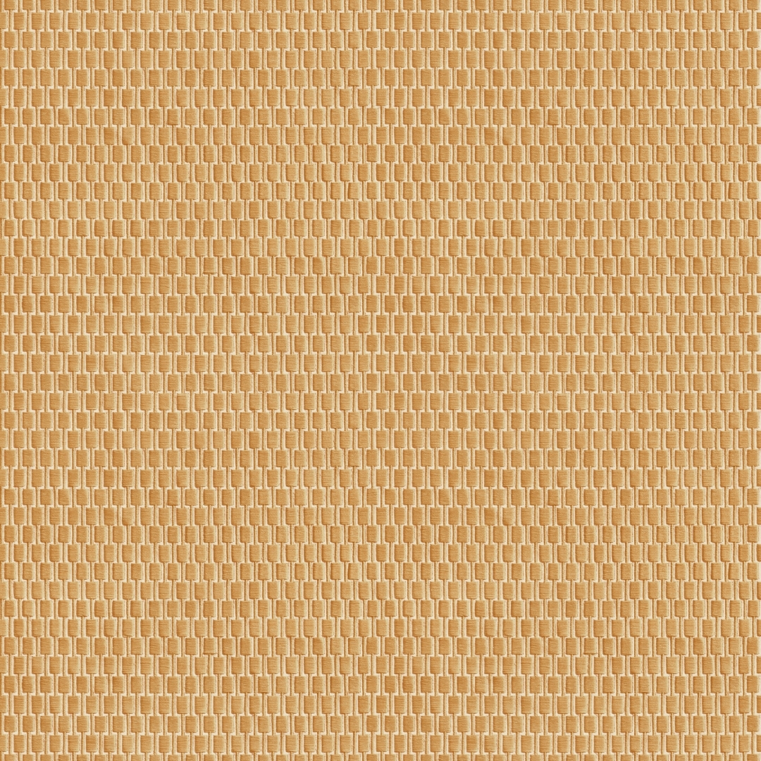 158245055268598c29cb0461.30919214.jpg