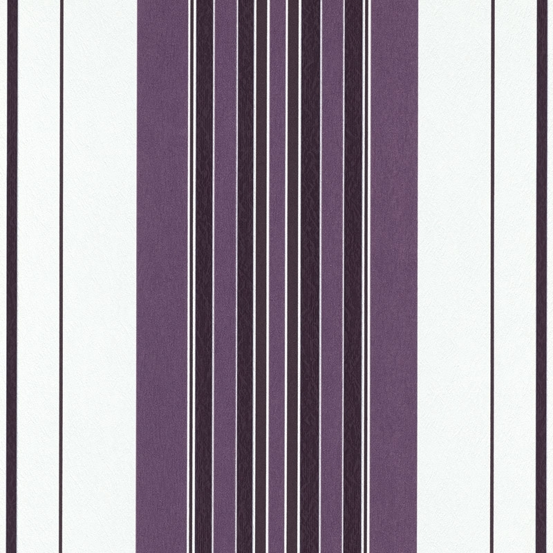 1776785758684b31d733a385.70030380.jpg
