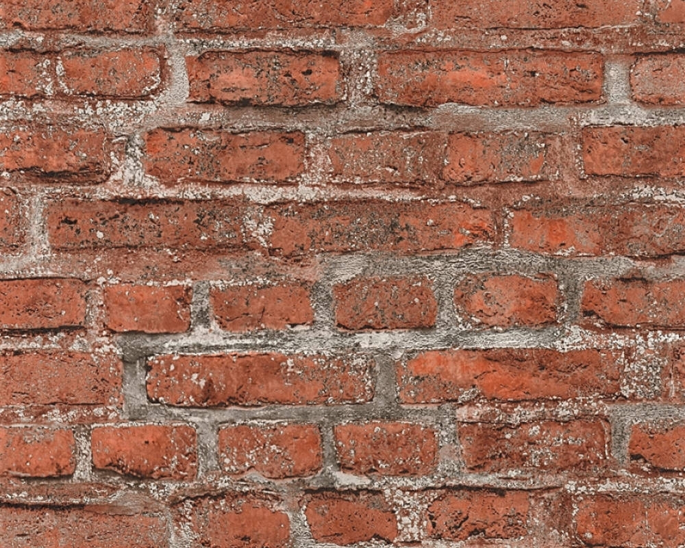 1832583011687802f9b24c52.78922583.jpg