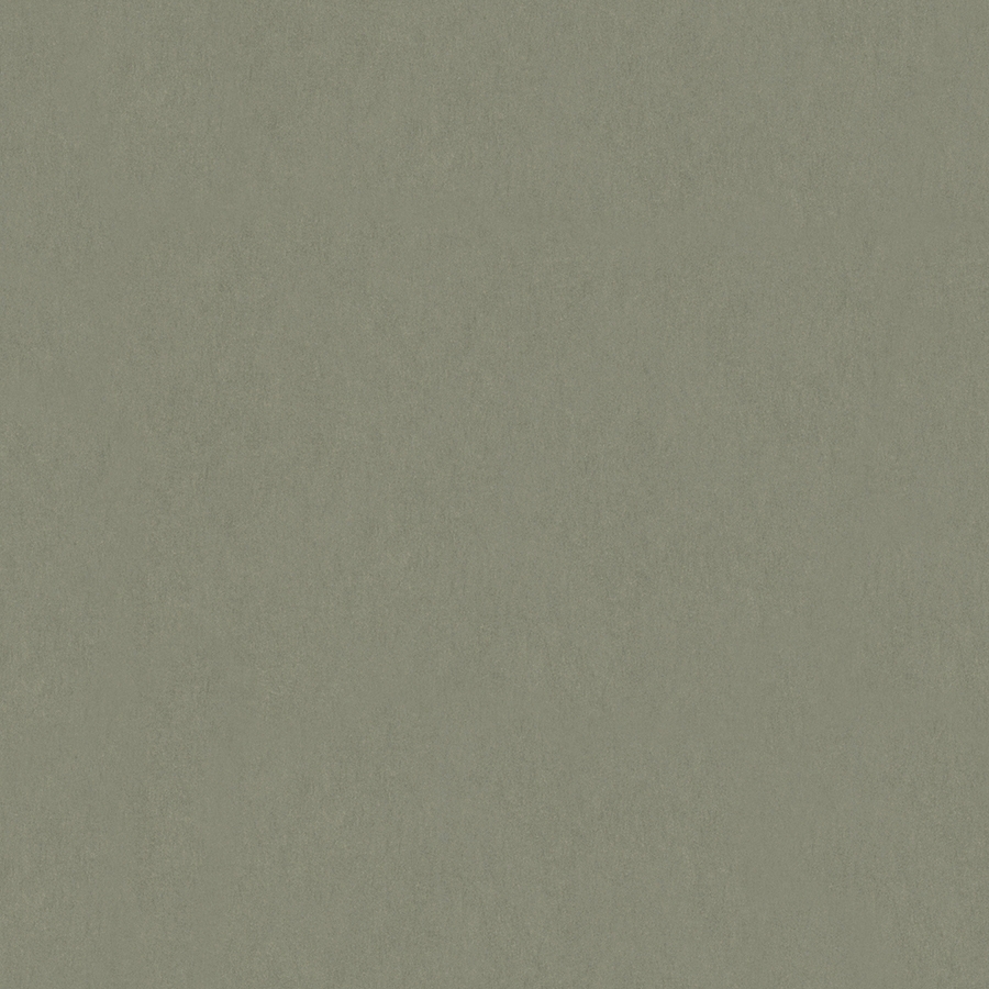 2142439801684b247e43a119.57605140.jpg