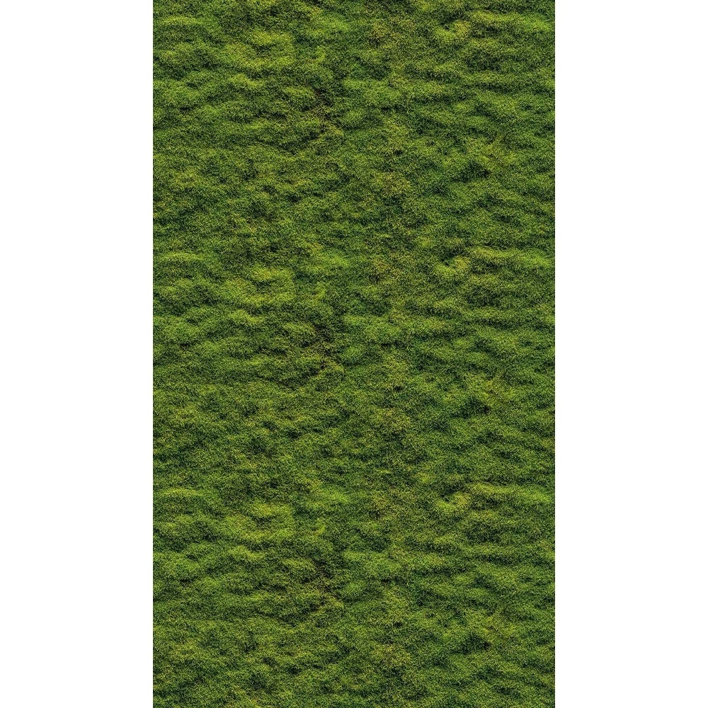 456385586684b215bca70c6.61791074.jpg