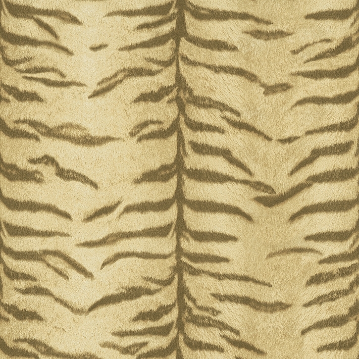 46427823368598e9b935924.81564534.jpg