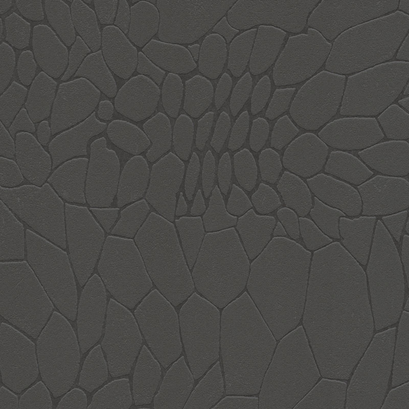 6412315268598b37422511.49924174.jpg