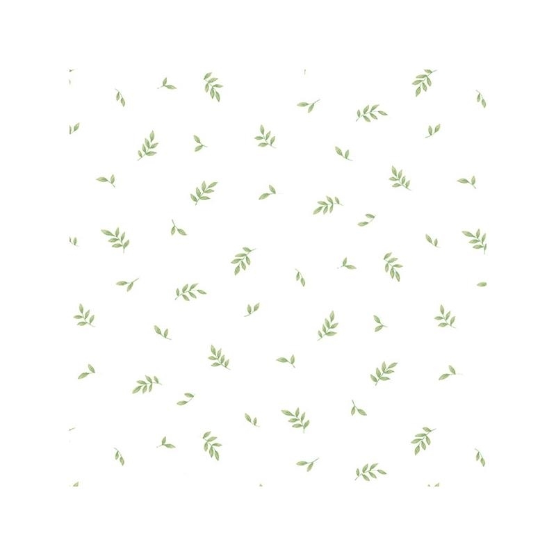 805657589684b32743ecd12.21234022.jpg